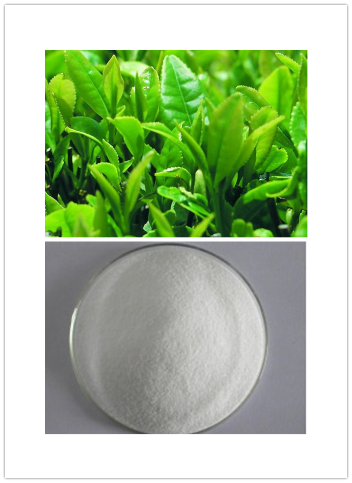 EGCG EGCG
