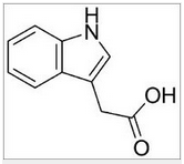 Heteroauxin Heteroauxin