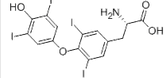 L-Thyroxine L-Thyroxine