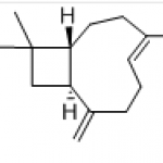 β-Caryophyllene