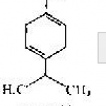 γ-Terpinene