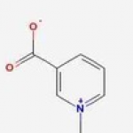 1-methylpyridinio-3-carboxylate