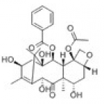 10-Deacetylbaccatin Ⅲ