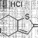 2-Oxo-2,4,5,6,7,7a-hexahydrothieno [3, 2-c] pyridine Hydrochloride