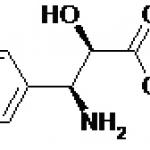 (2R,3S)-Phenylisoserine methylester