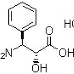 N-benzoyl-(2R,3S,)-3-phenylisoserine