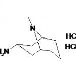 Endo-3-amine-9-methyl-9-azabicyclo[3,3,1]nonane dihydrochloride