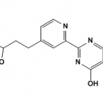 2-(4-(2-(1,3-dioxolan-2-yl)ethyl)pyridin-2-yl)pyrimidine-4,6-diol