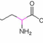 2-Aminopentanoic acid