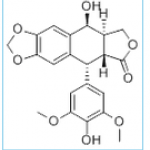 4-Demethylepipodophyllotoxin