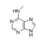 6-(METHYLAMINO)PURINE