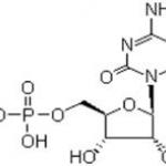 5-cytidylate monophosphate