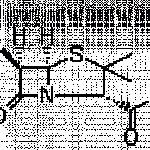 6-Aminopenicillin Acid