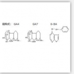 6-Benzylamino-purine + Gibberellin Acid (A4) + Gib