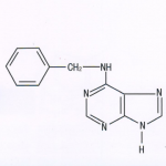 6-Benzylaminopurine