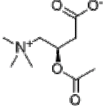 Acetyl L-Carnitine