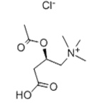 Acetyl-L Carnitine