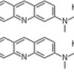 Acridine Orange