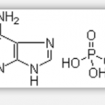 Adenine phosphate