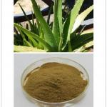 Aloe vera Extract