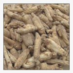 American ginseng root extract