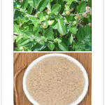 Ashwagandha extract