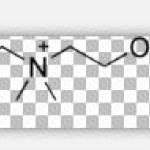 Bephenium Hydroxynaphthoate