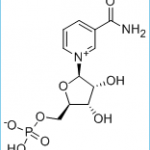 Beta-nicotinamide mononucleotide