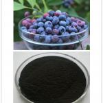 Bilberry Extract