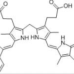 Bilirubin