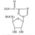 Biopolymers