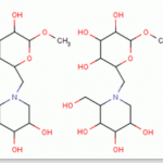 Camiglibose