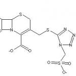 Cefonicid benzathine salts