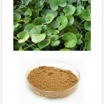 Centella Asiatica Extract