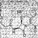 Cephalothin