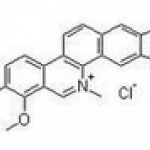 Chelerythrine