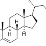 Cholesterol