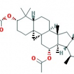 Cimicifuga racemosa extract