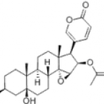 Cinobufotalin