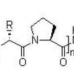 Collagen