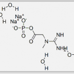 Creatine Phosphate Sodium Salt