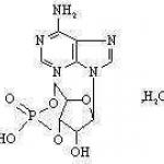 Cyclic Adenosine Monophosphate