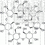 Cyclodextrin