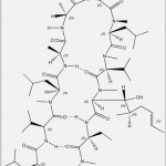 Cyclosporin A