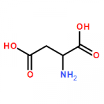 D-Aspartic Acid