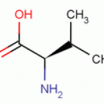 D-Valine