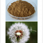 Dandelion flavonoids