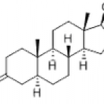 Dihydrotestosterone