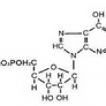 Disodium 5’-ribonucleotide