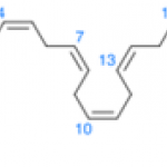 Docosahexaenoic Acid